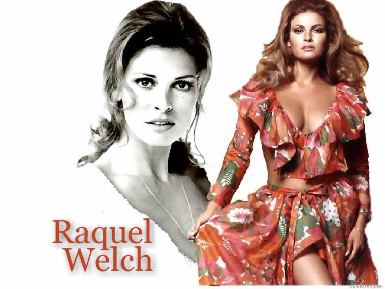 Iconic American actress Raquel Welch in a vintage poster Wallpaper
