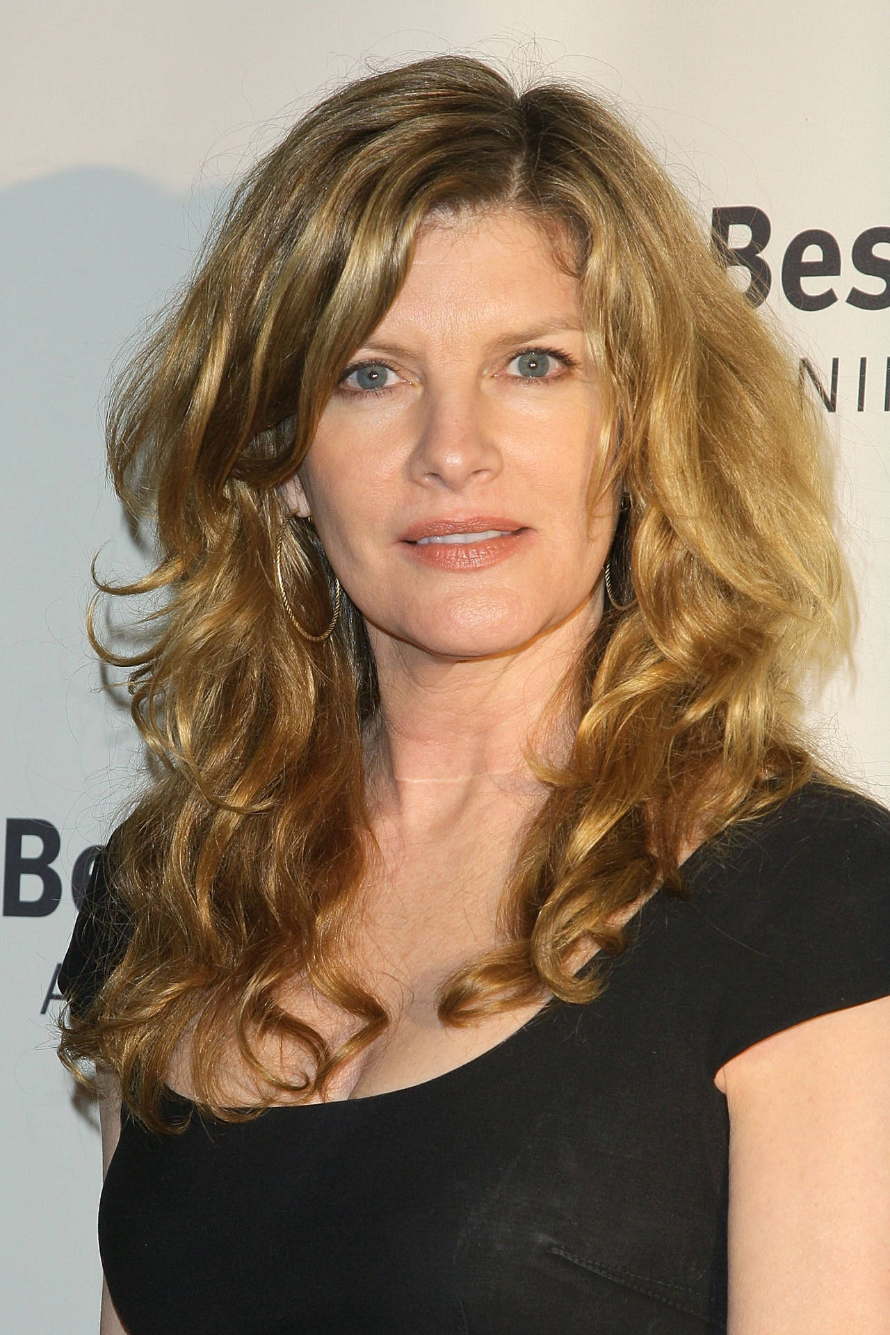American Actress Rene Russo At 15th Annual Lint Roller Party Wallpaper