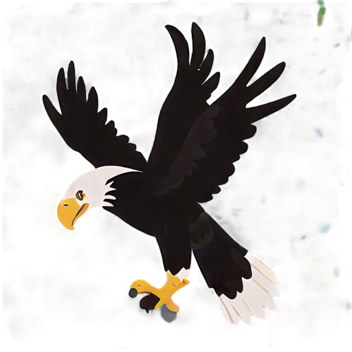 American Bald Eagle Portrait Png B PNG