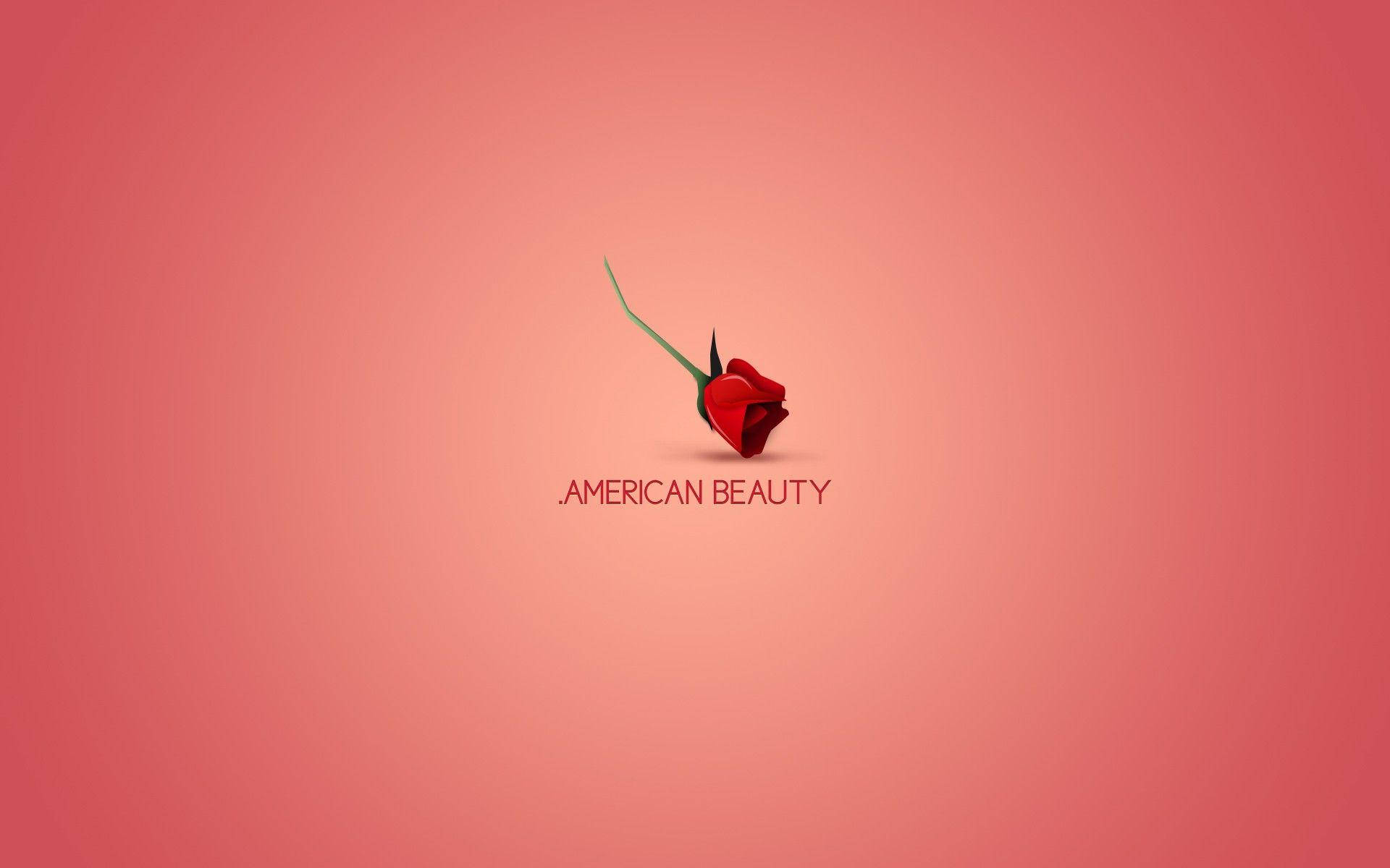 American Beauty Flipped Rose Wallpaper