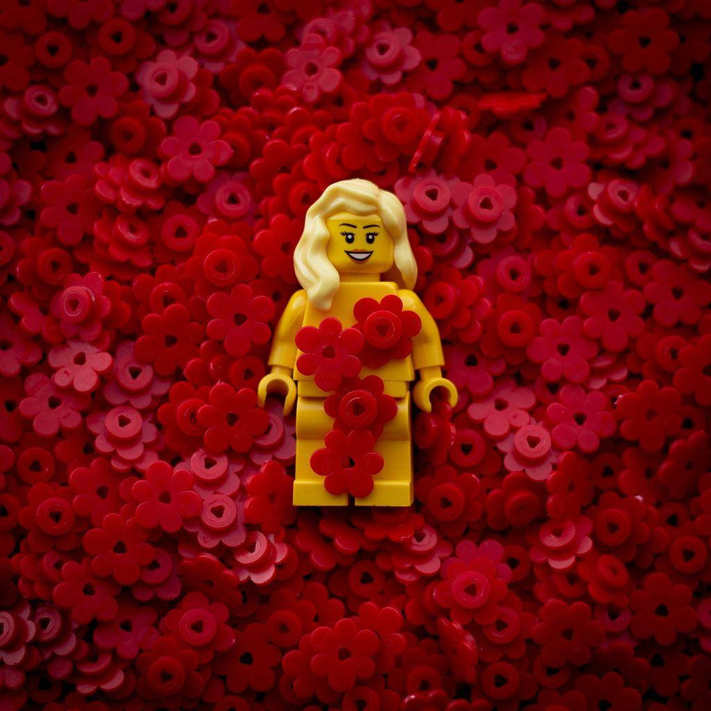 American Beauty Lego Woman Wallpaper