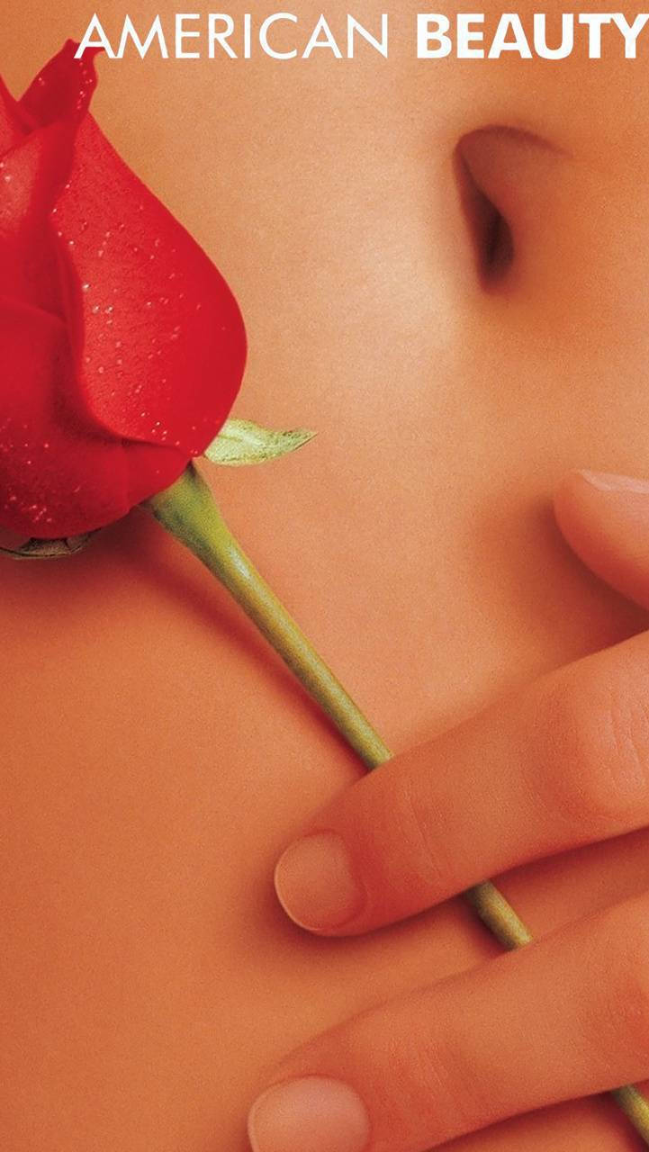 Amerikansk Beauty Navel Rose-tema tapet Wallpaper