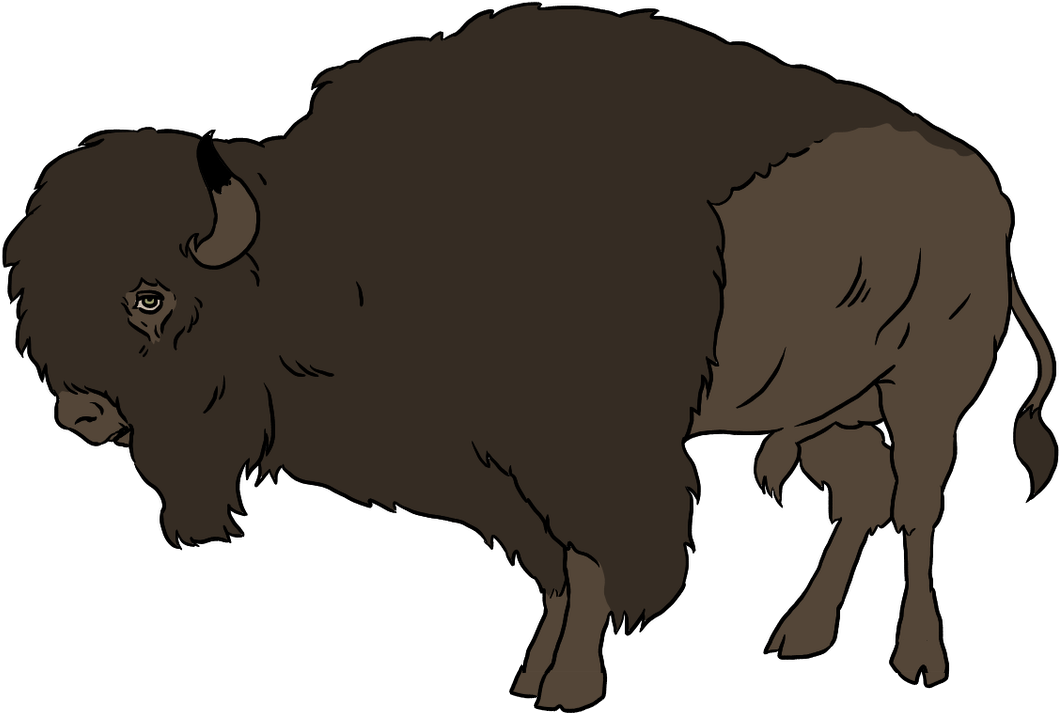American Bison Illustration PNG