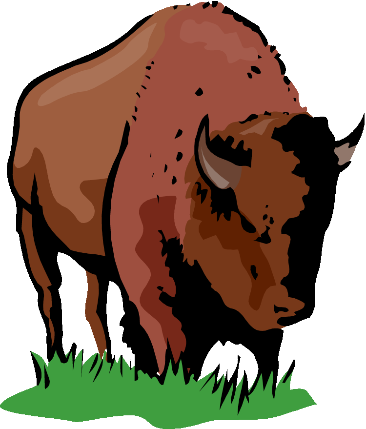 American Bison Illustration PNG