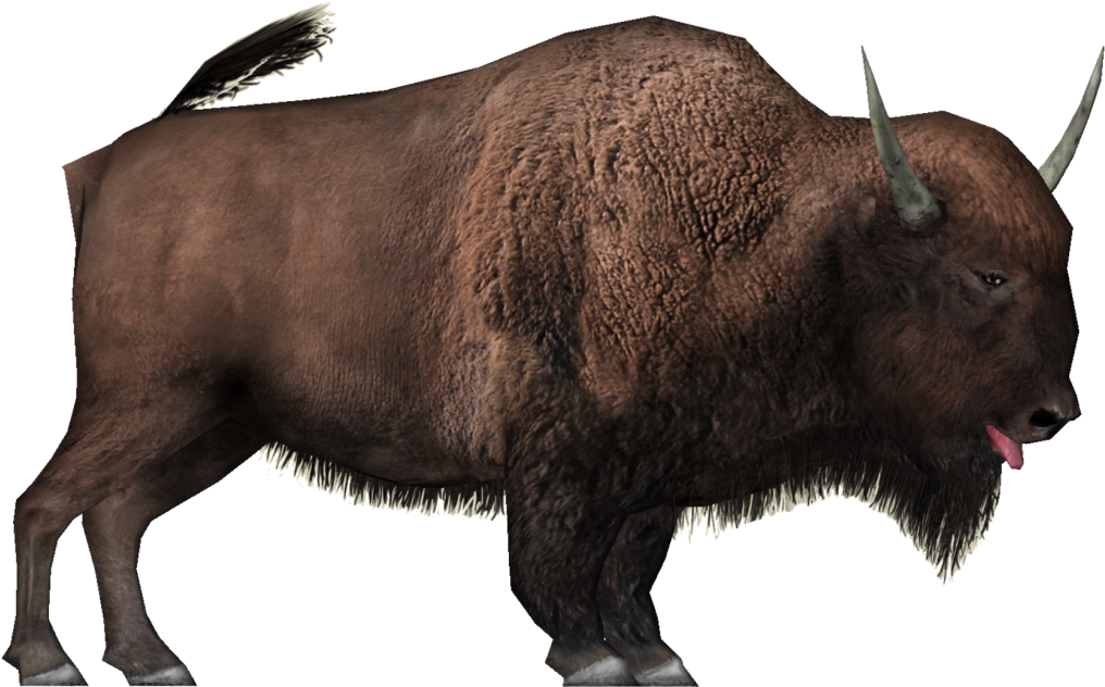 American Bison Side View PNG