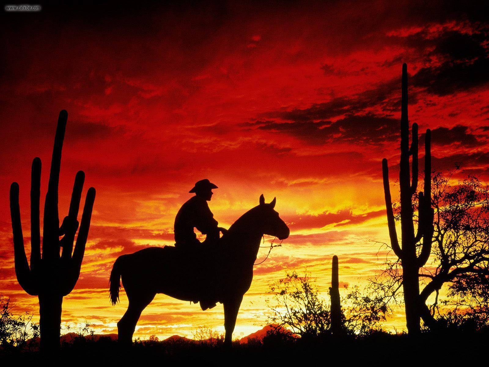 Einamerikanischer Cowboy Trägt Seinen Markanten Cowboyhut. Wallpaper