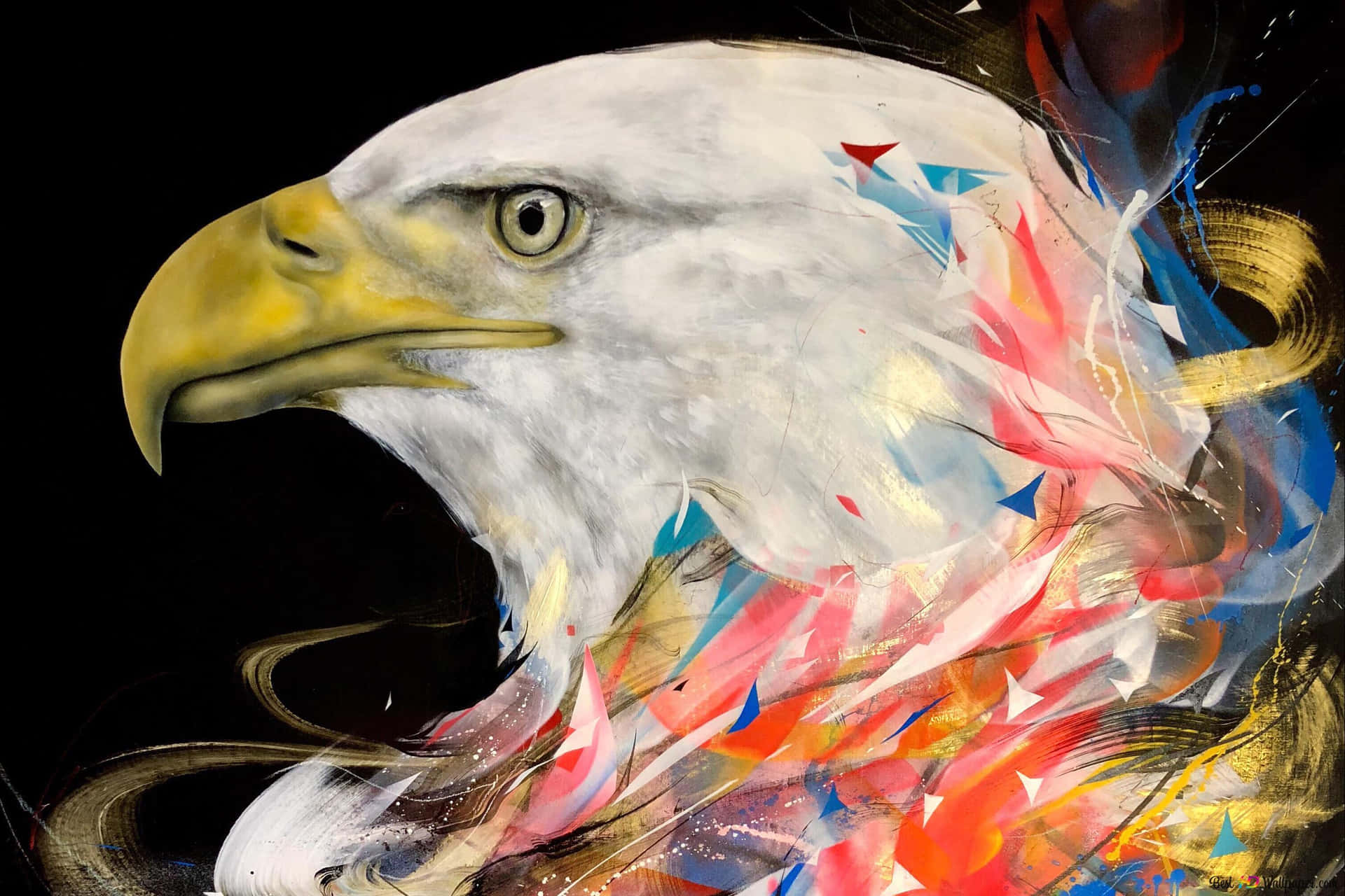 Águilaamericana | Libertad Con Estilo Fondo de pantalla