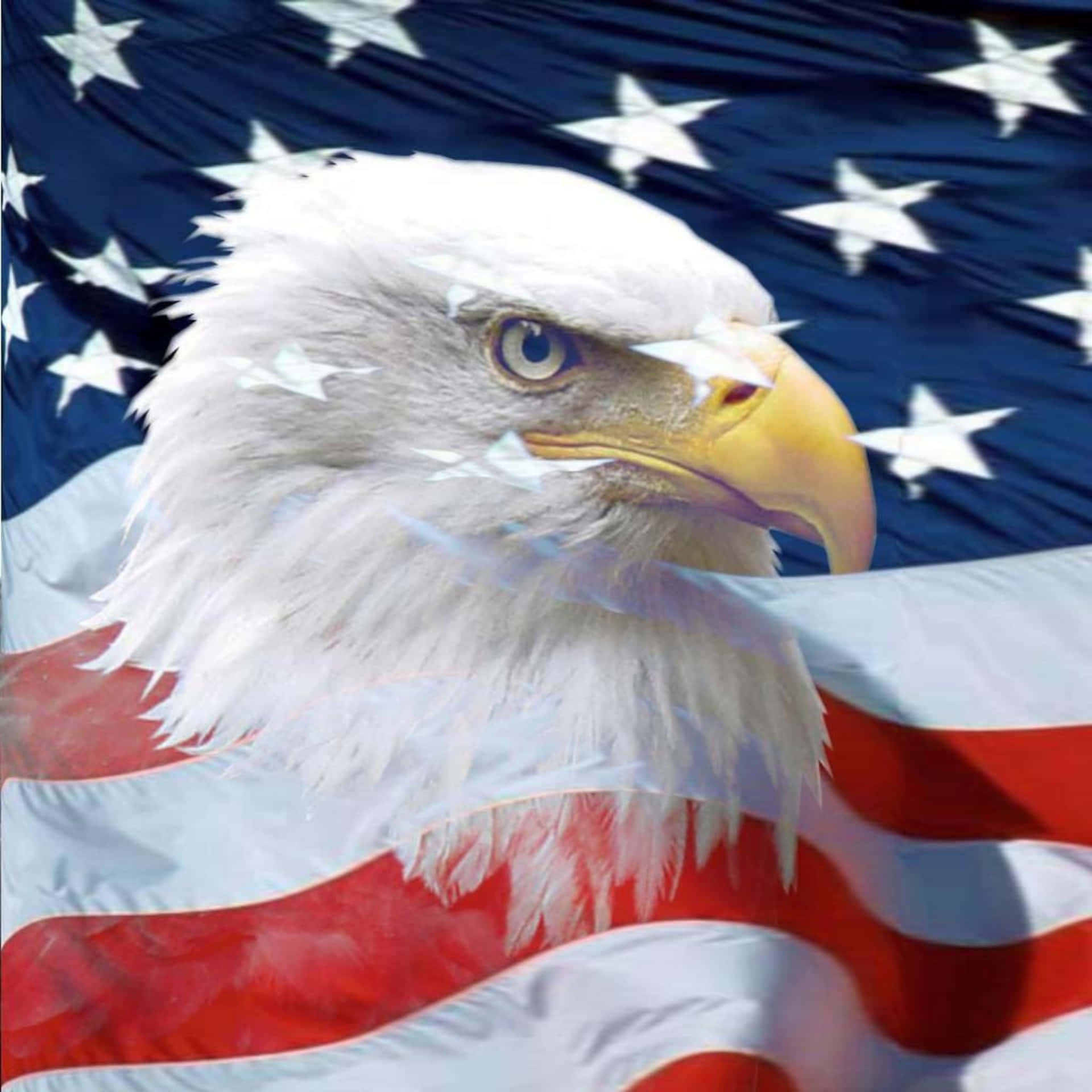 American Eagle Soars Across the Sky Wallpaper
