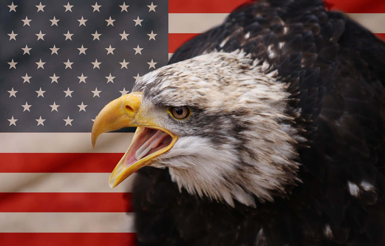 Enörn Med Öppen Mun Framför En Amerikansk Flagga Wallpaper