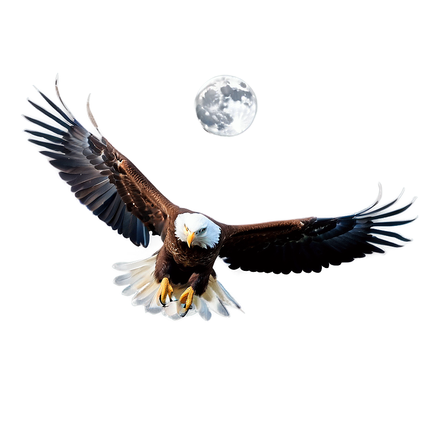 American Eagle And Moon Png Sjd PNG