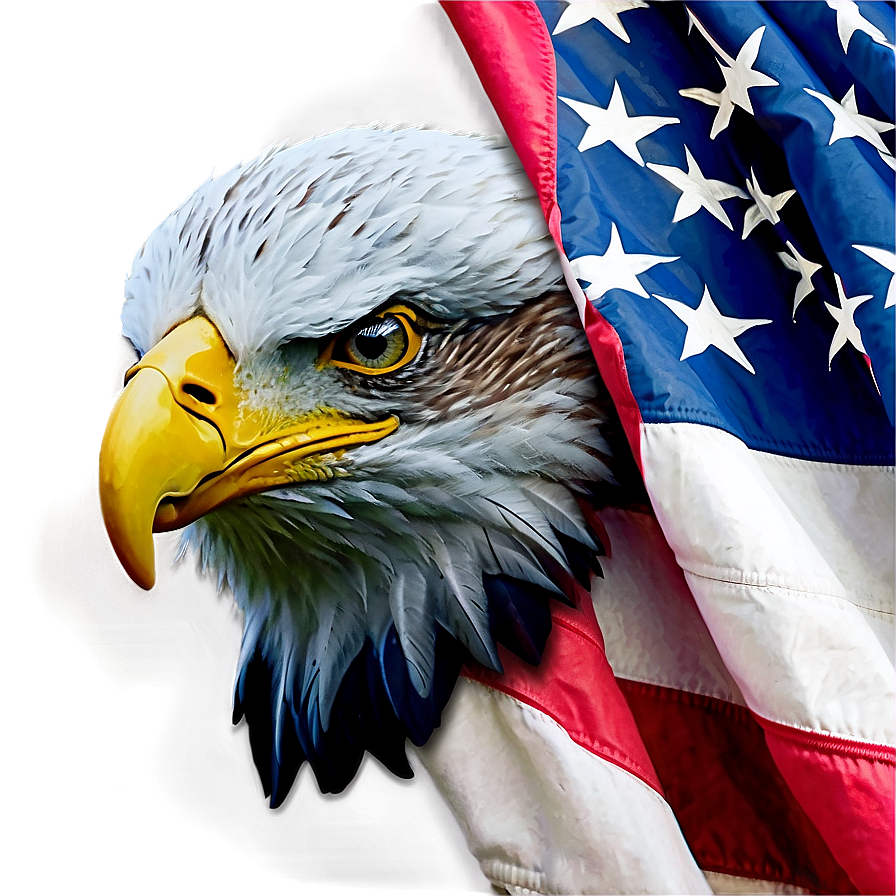 American Eagle C PNG