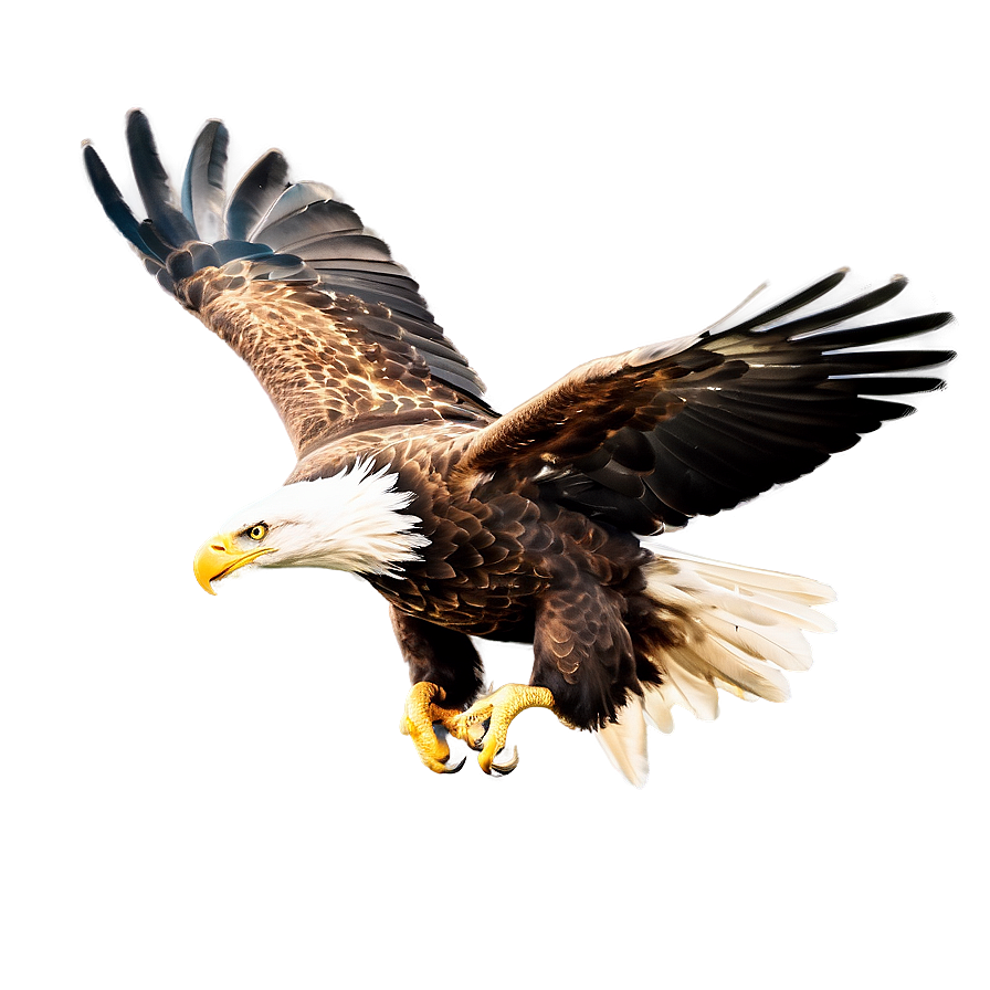 American Eagle Flying High Png Rob49 PNG