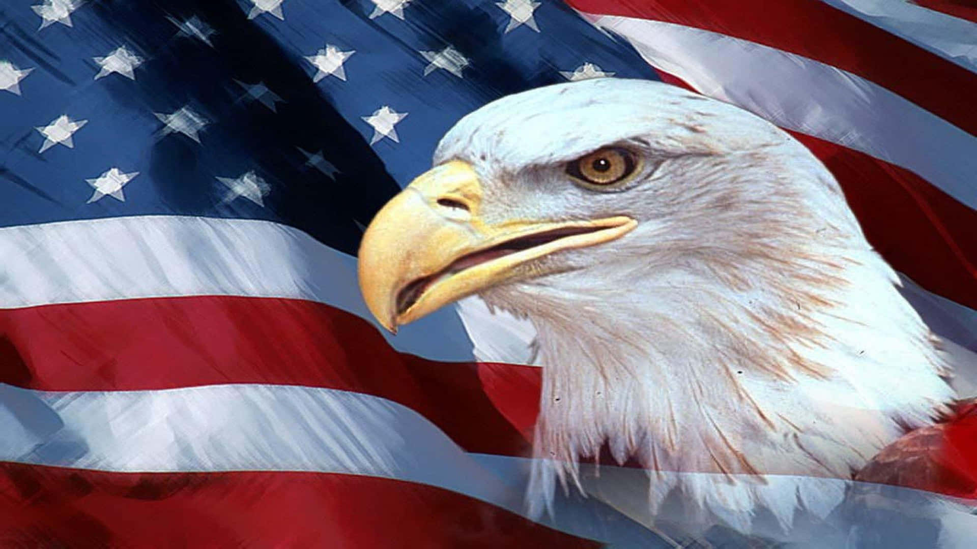 Einadler Wird Vor Einer Amerikanischen Flagge Gezeigt. Wallpaper