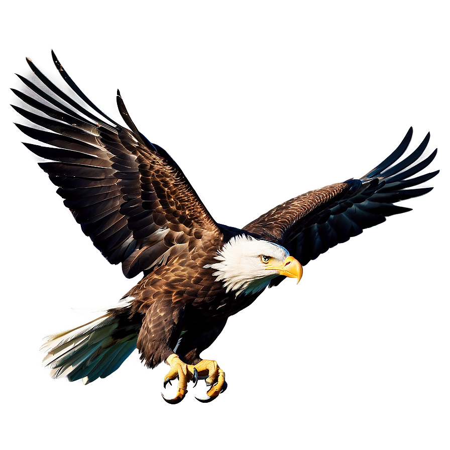 American Eagle In Nature Png Rls PNG