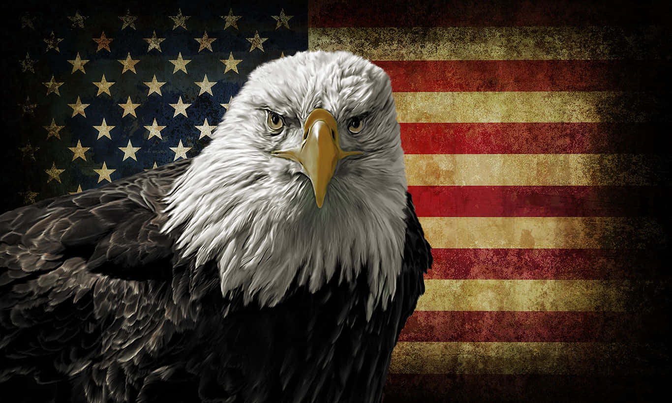 Einweißkopfseeadler Steht Vor Einer Amerikanischen Flagge. Wallpaper