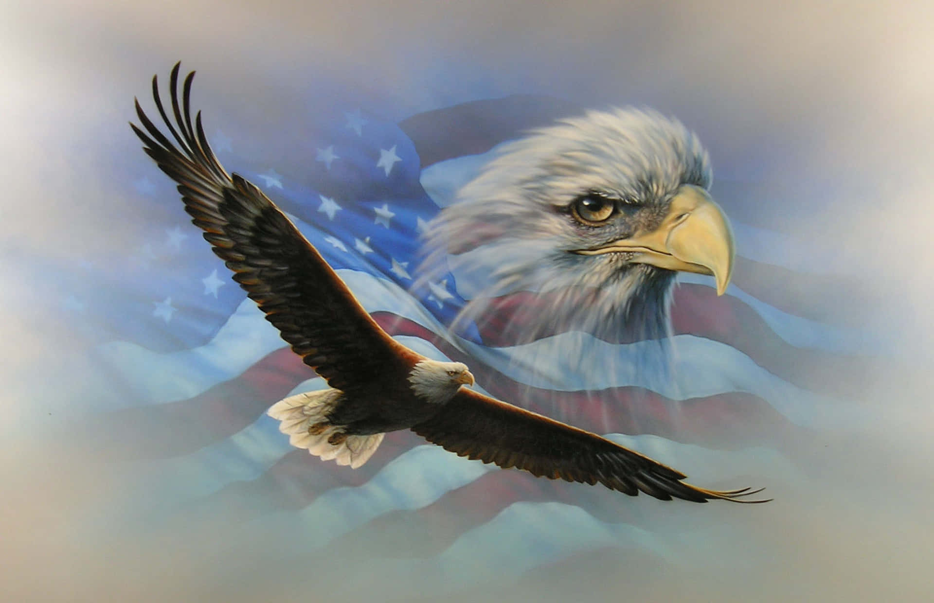 Flyghögt Med American Eagle. Wallpaper
