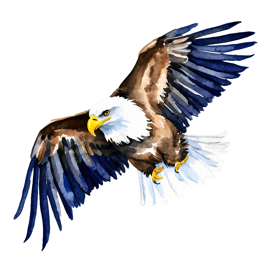 American Eagle Watercolor Png 84 PNG