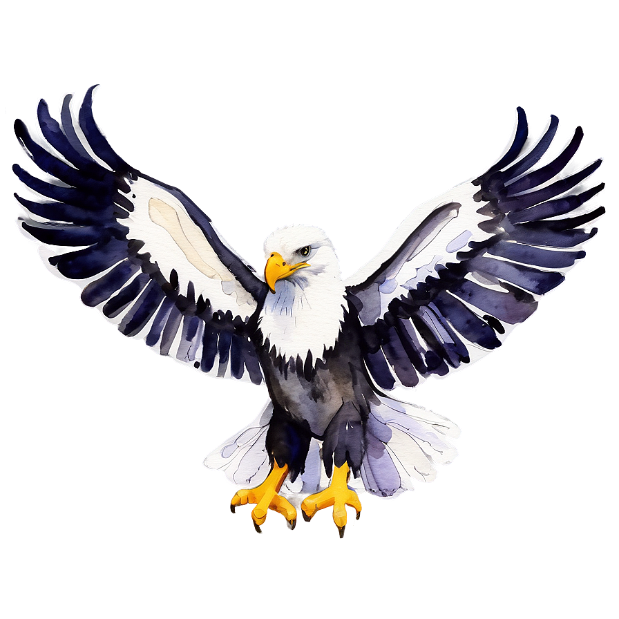 American Eagle Watercolor Png Qwf46 PNG