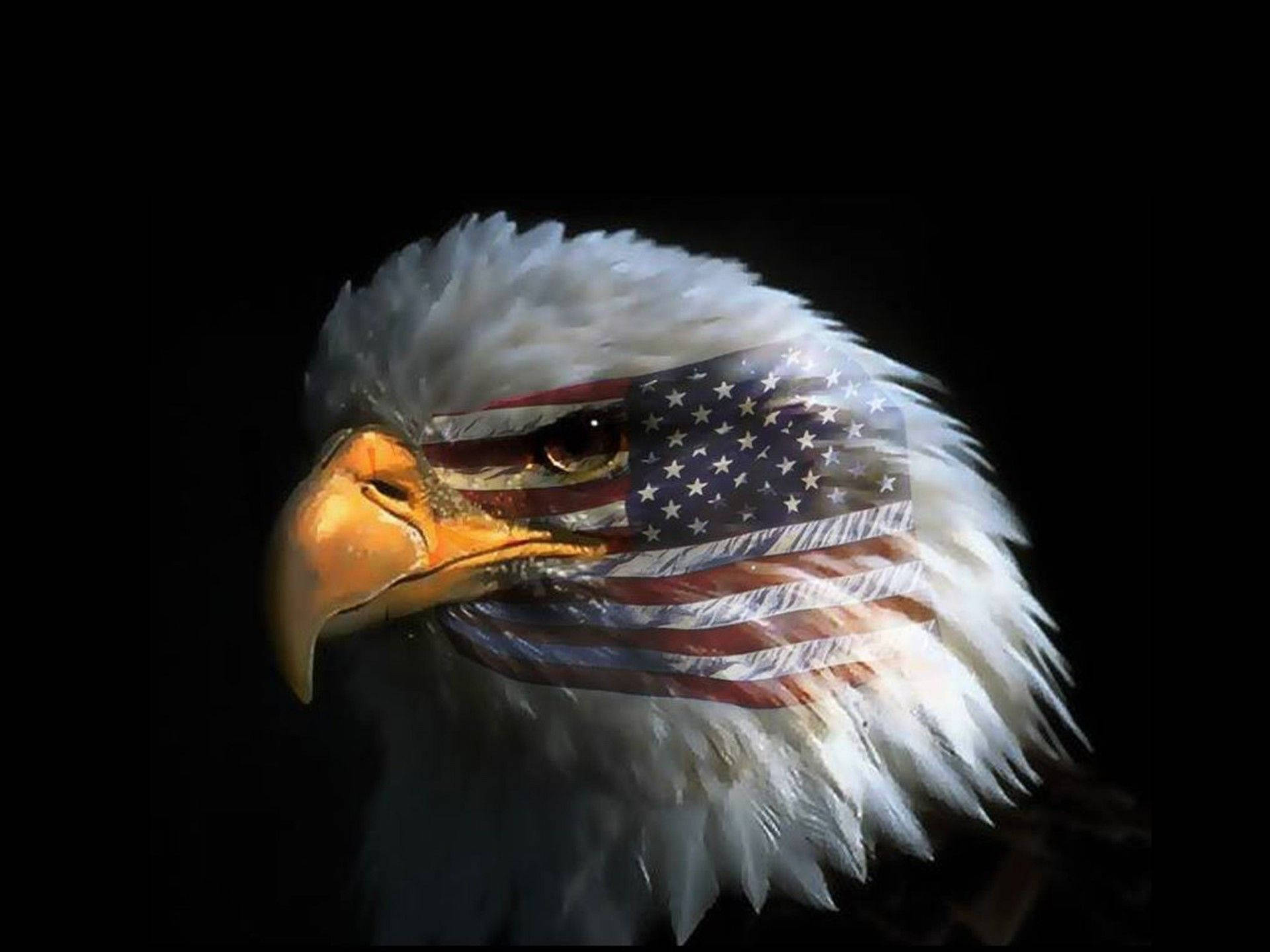 American Eagle With Flag