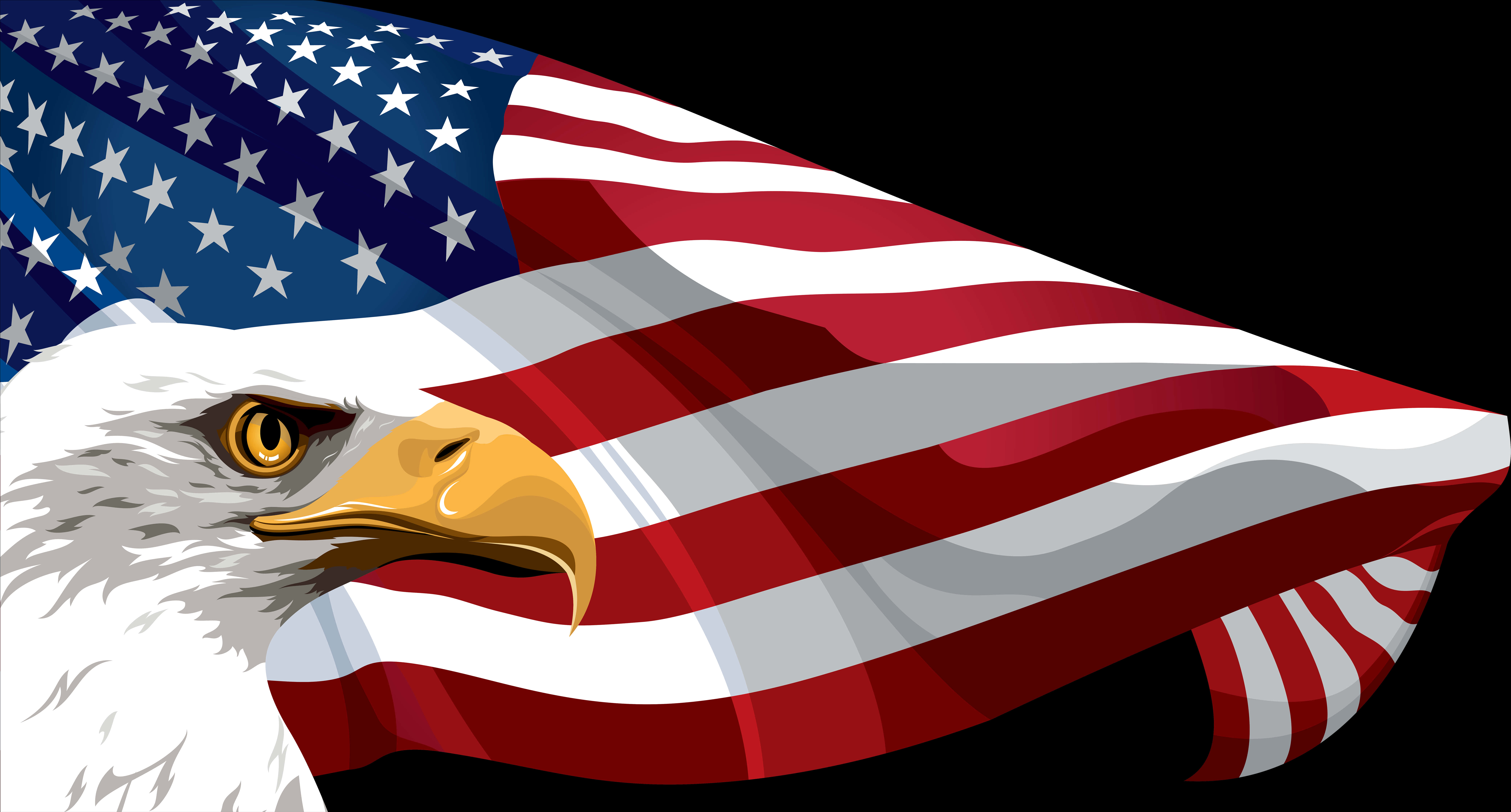 American Eagleand Flag Illustration PNG