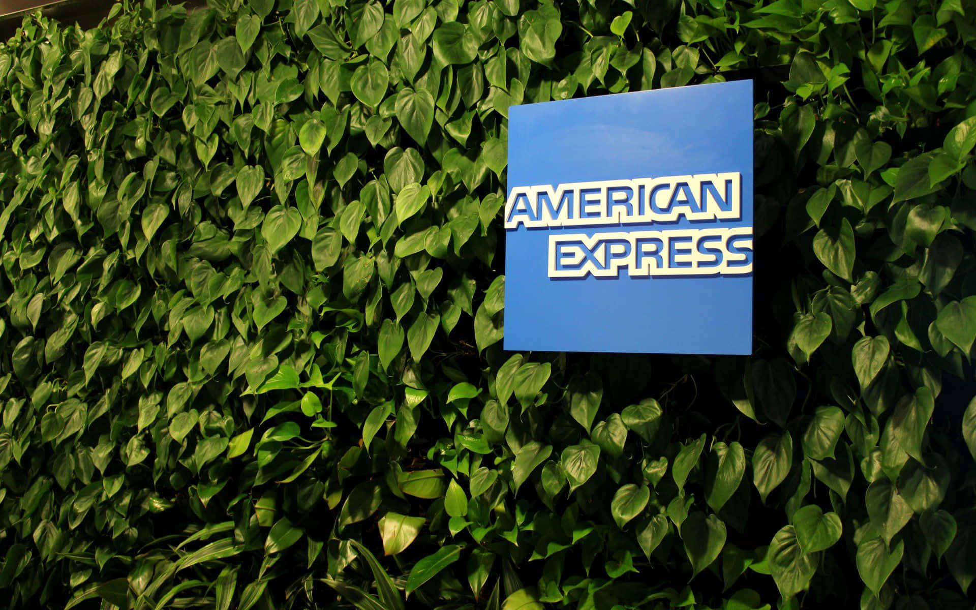 Experience the Power and Flexibility of American Express.