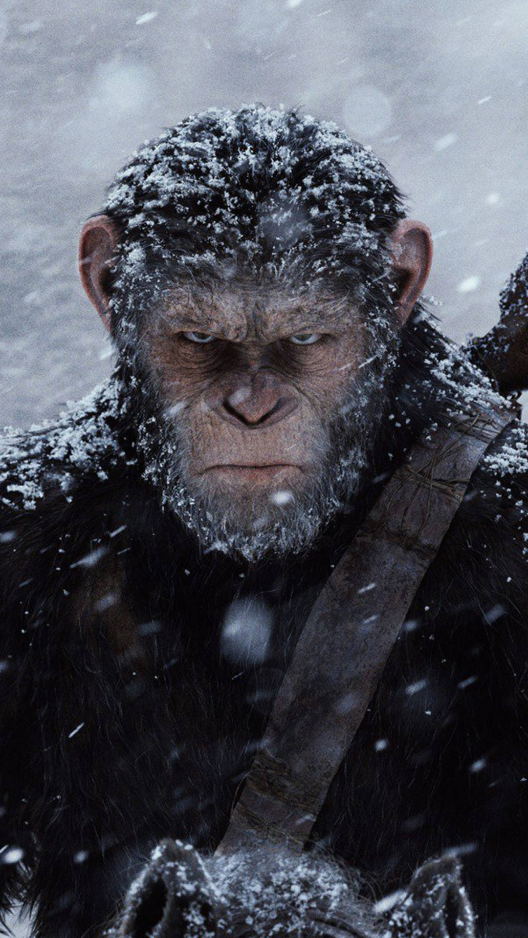 American Film Planet Of The Apes Wallpaper