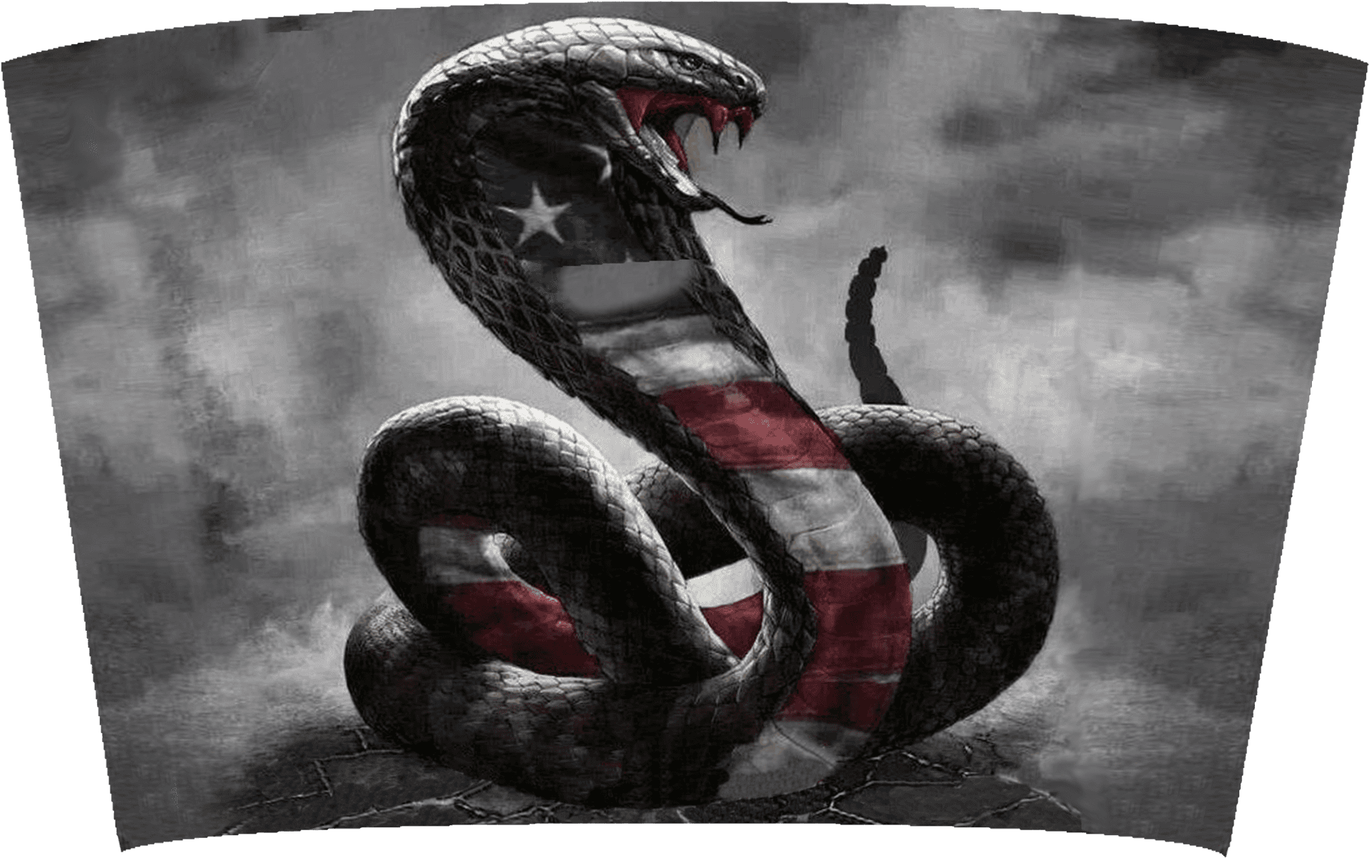 American Flag Cobra Artwork PNG