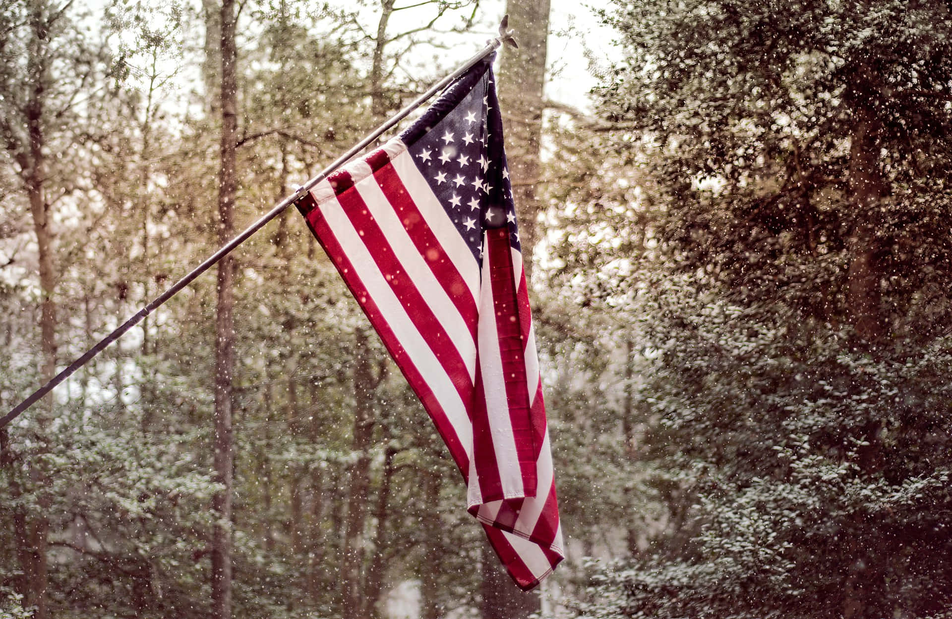 American Flag Forest Snowfall Wallpaper