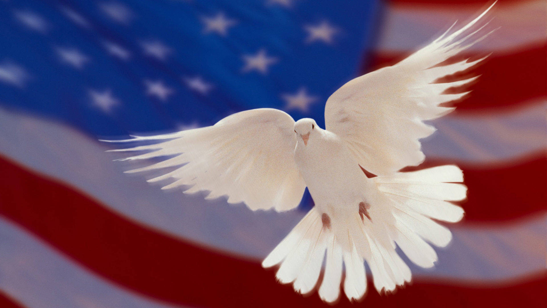 American Flag Hd With Dove Background