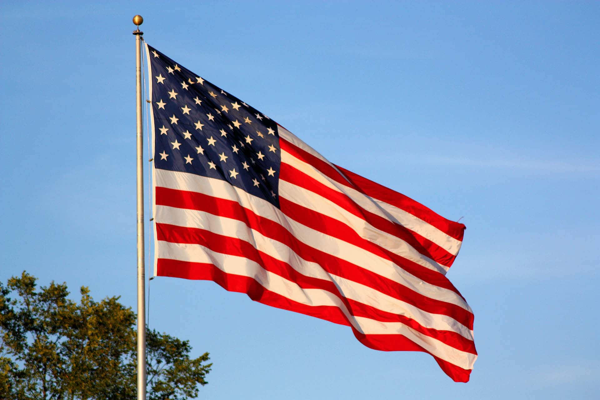 Detamerikanske Flag Vajer I Vinden.