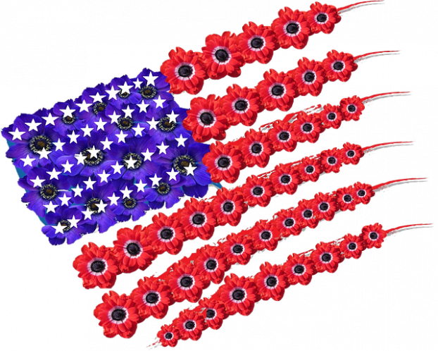 American Flag Poppies Memorial Day PNG