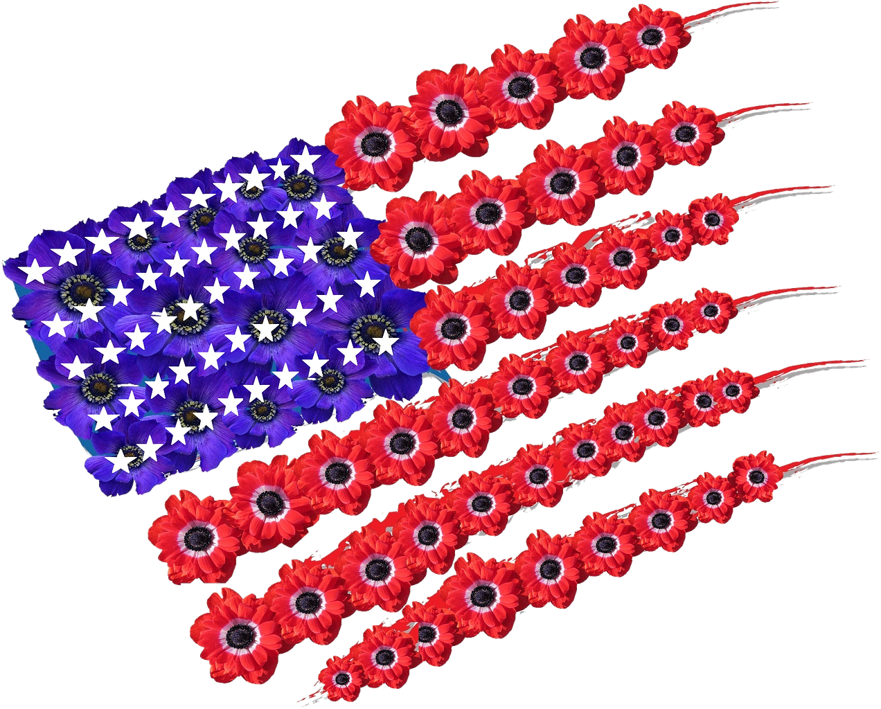 American Flag Poppies Memorial Day PNG