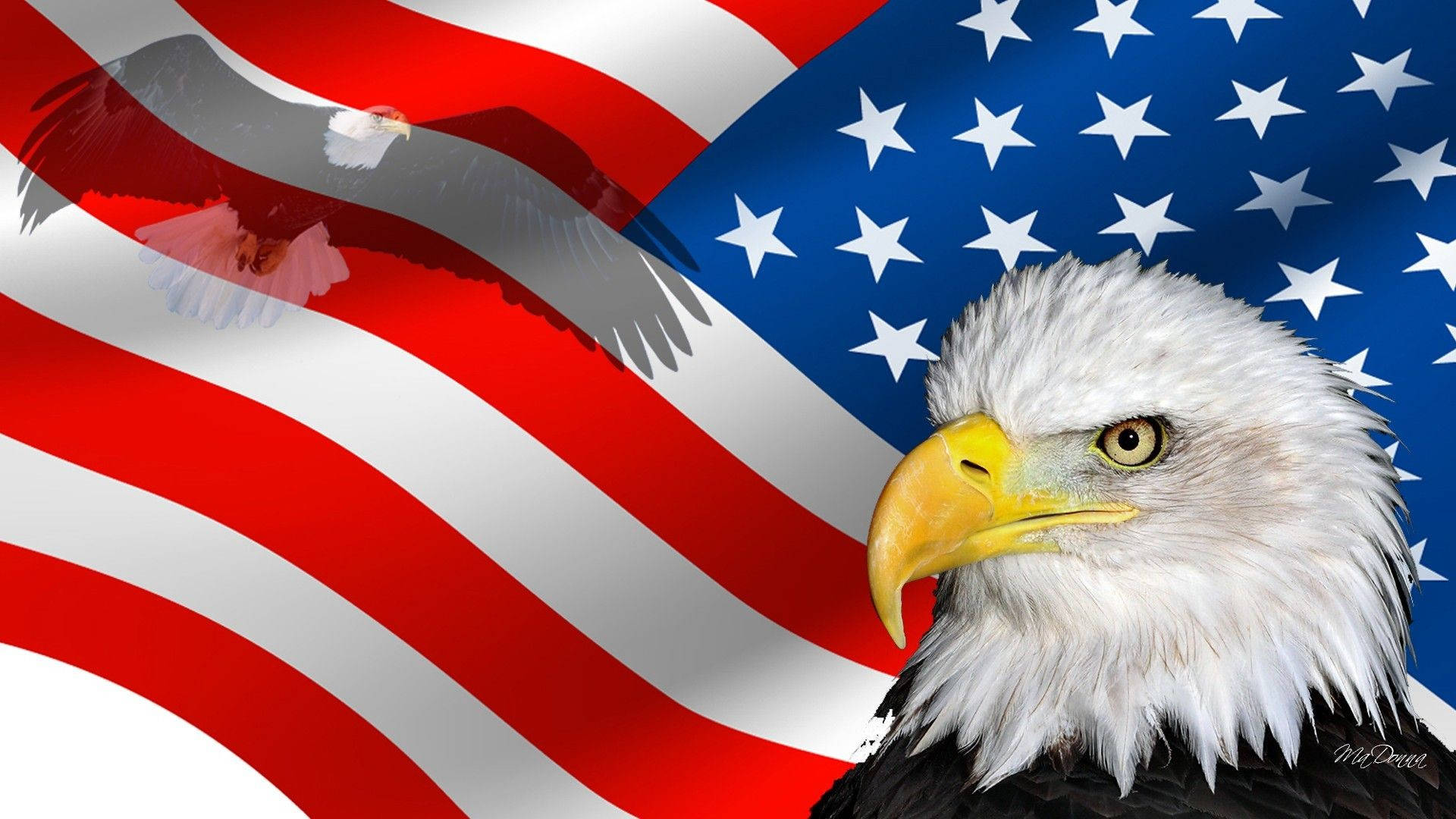 Free Us Eagle Wallpaper Downloads, [100+] Us Eagle Wallpapers for FREE |  