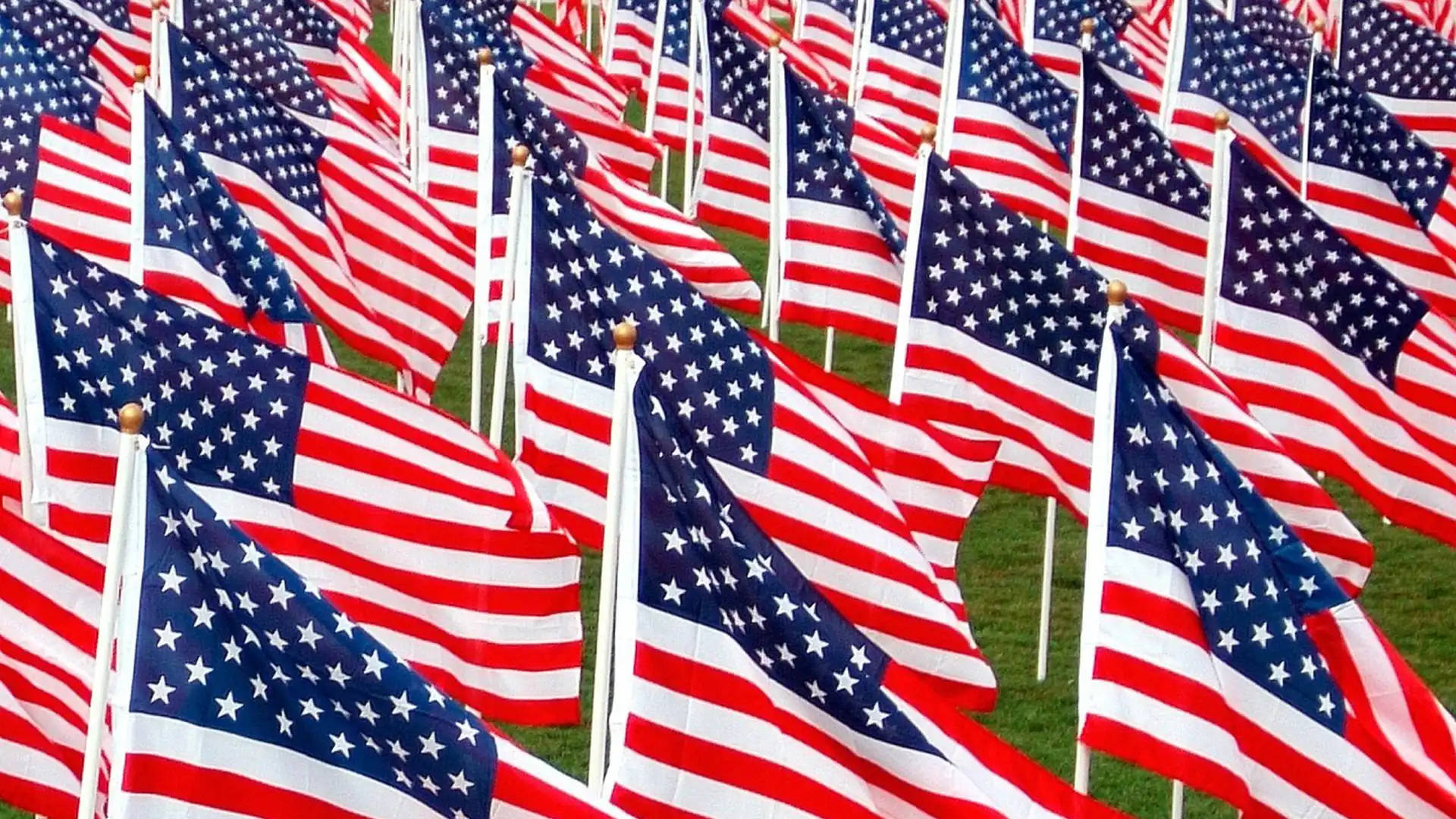American Flags Hd On Field Wallpaper