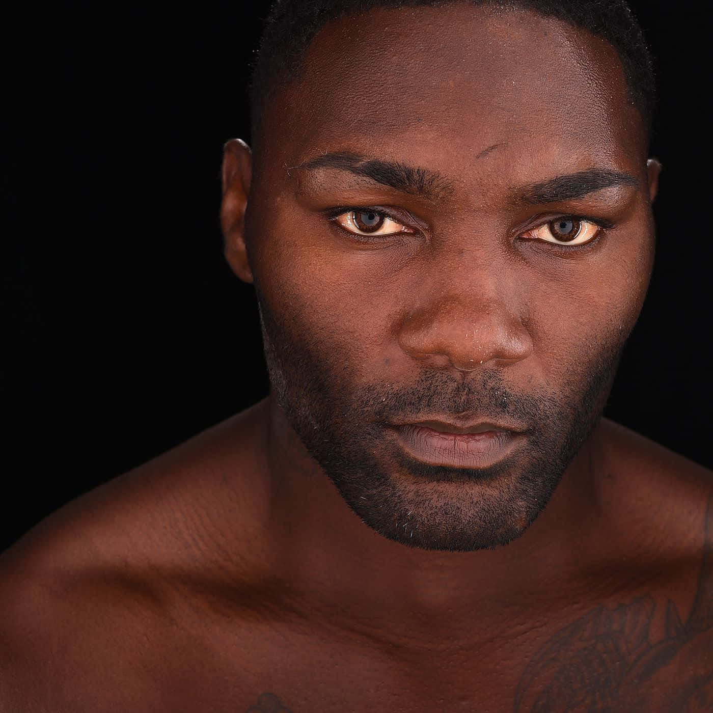 Retratode Anthony Johnson, Artista Marcial Mixto Estadounidense, Año 2015. Fondo de pantalla