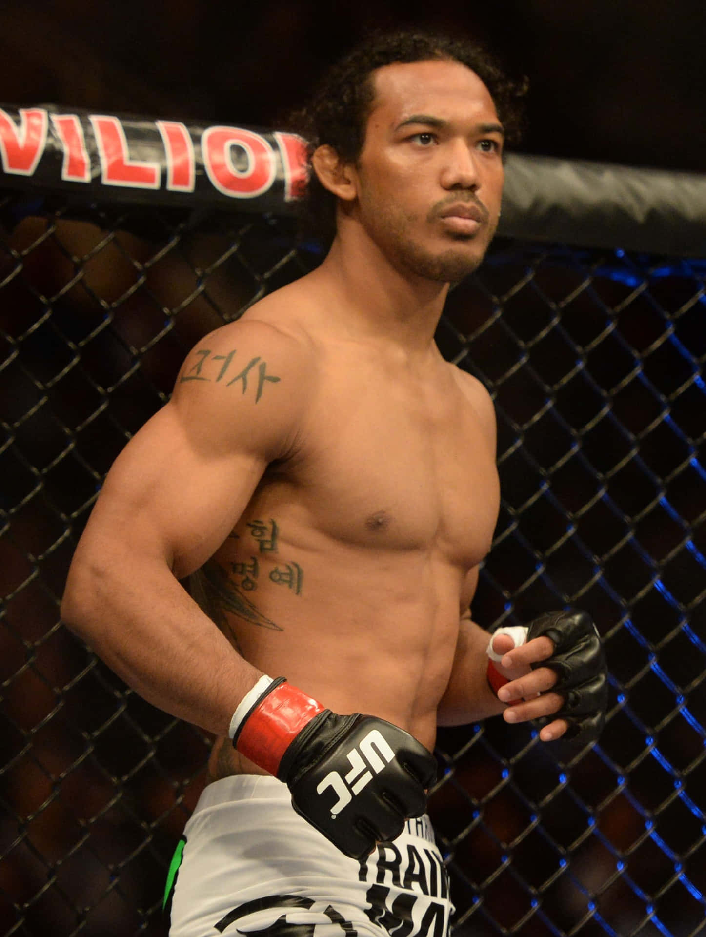American MMA Ben Henderson At The Start Of The Fight Wallpaper