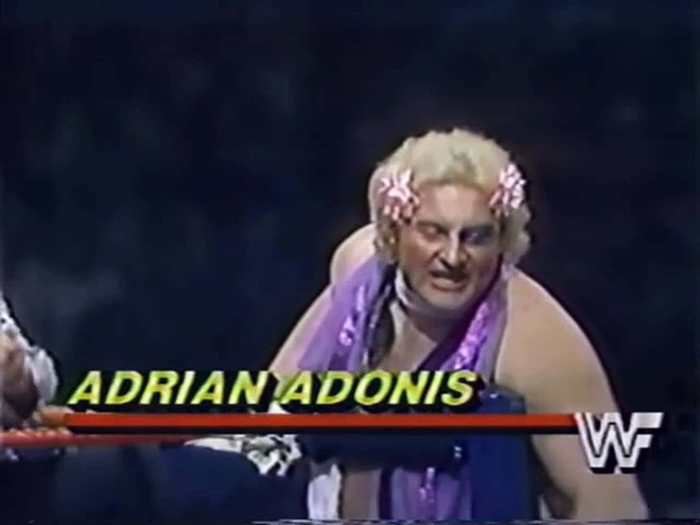 Amerikanischerprofi-wrestler Adrian Adonis Wwf-match Wallpaper