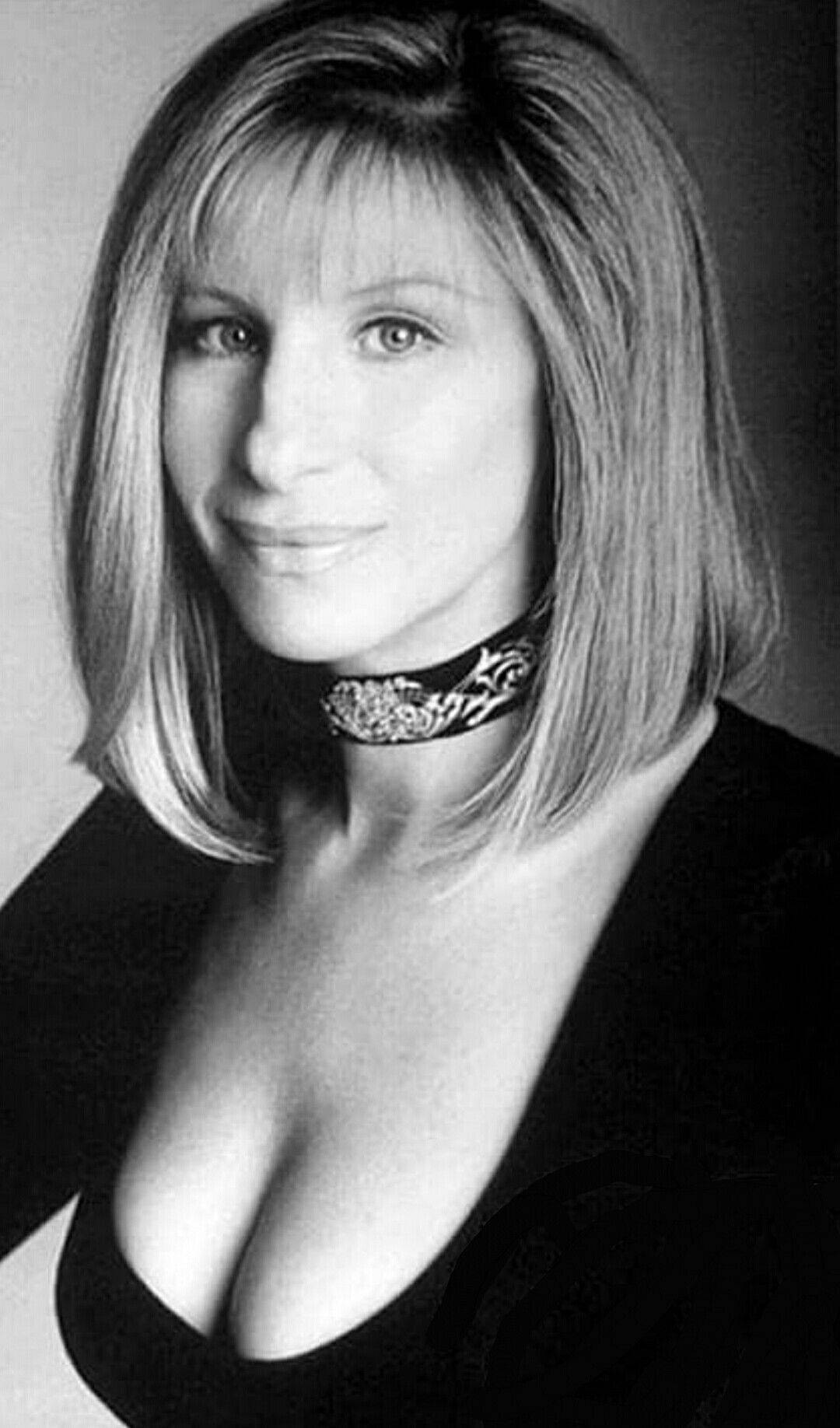 Amerikanske sanger Barbra Streisand The Concert 1994 Tour vil oplyse din skærm. Wallpaper