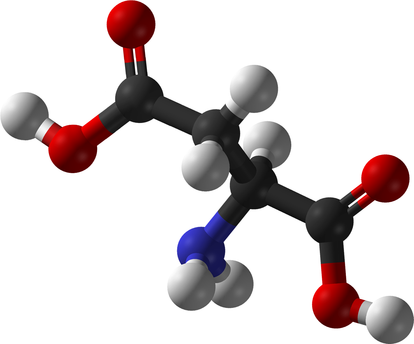 Amino Acid Molecule3 D Model PNG