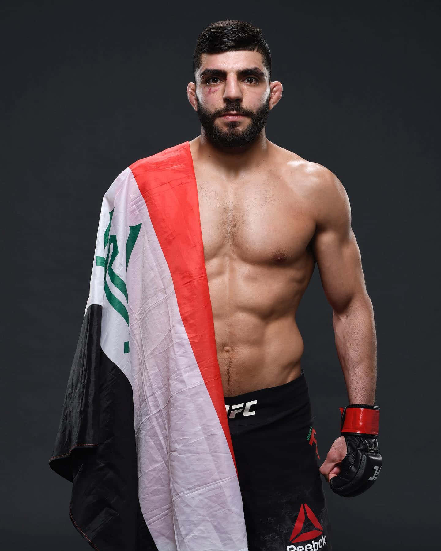 Amir Albazi Draped With Flag Wallpaper