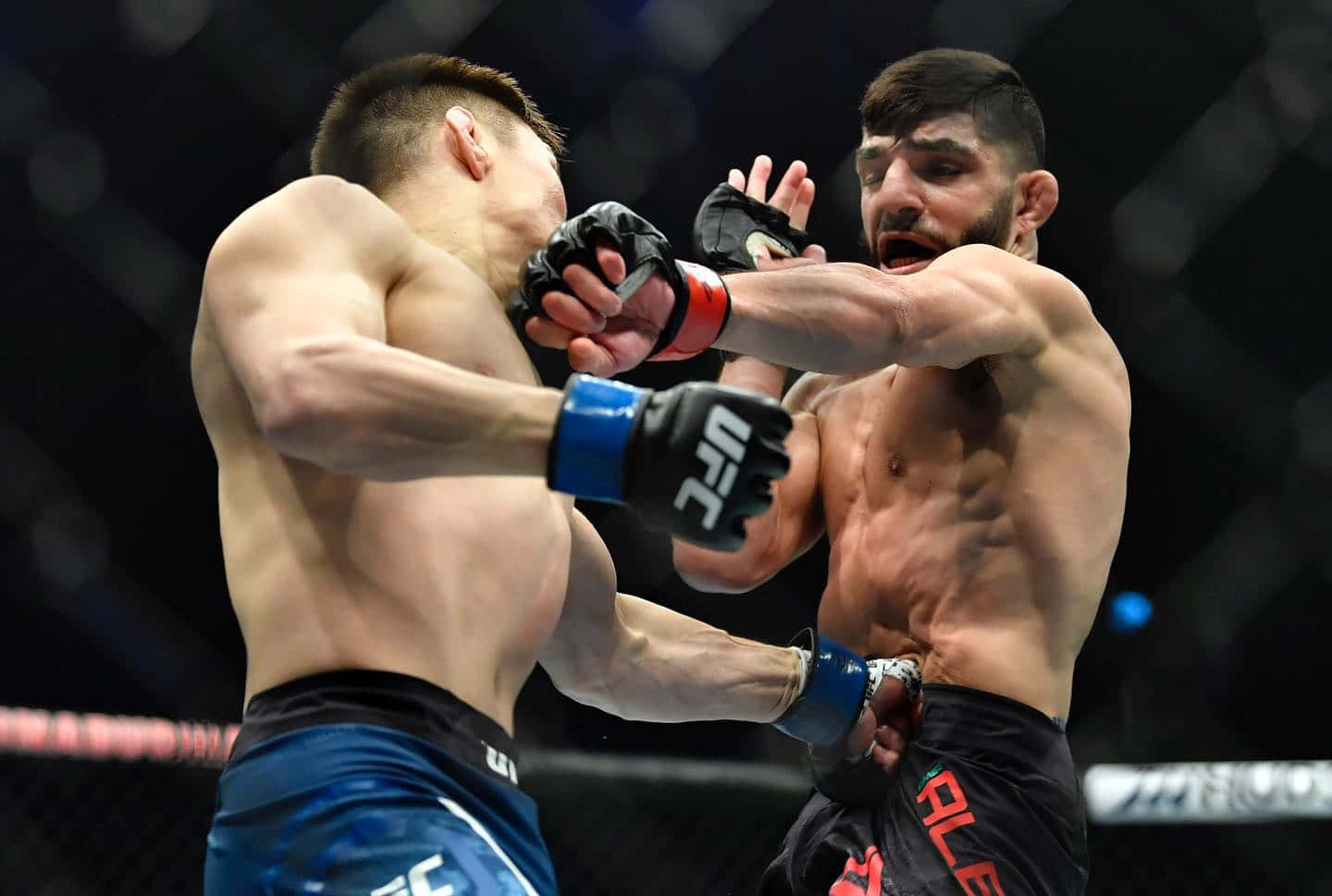 Amir Albazi Punching In Fight Wallpaper