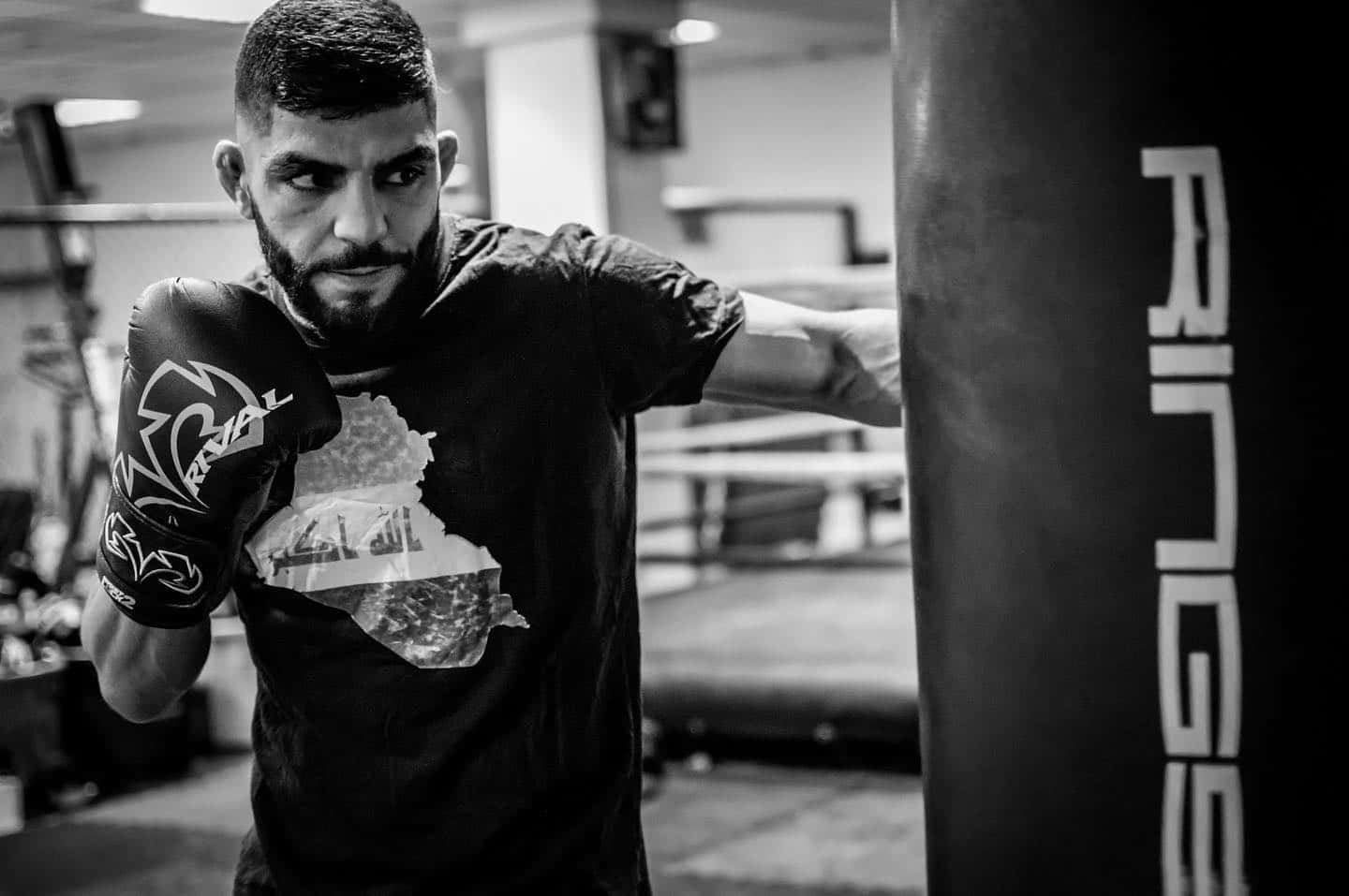 Amir Albazi With Punching Bag Background