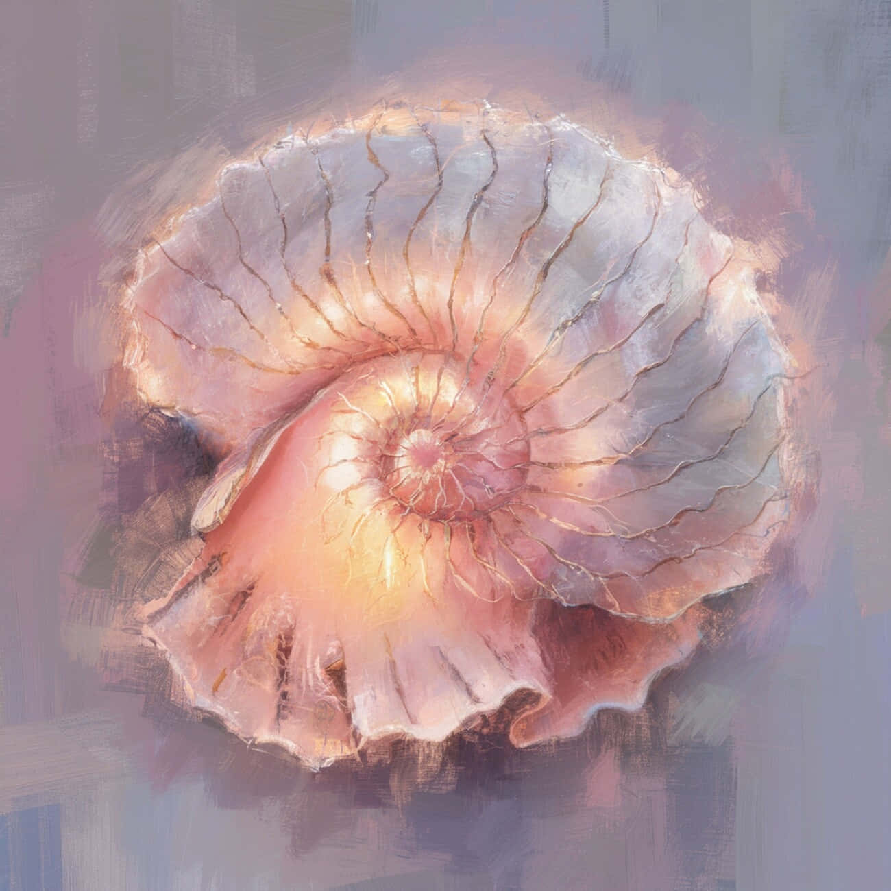 Ammonite Fossil Artistic Rendering Wallpaper