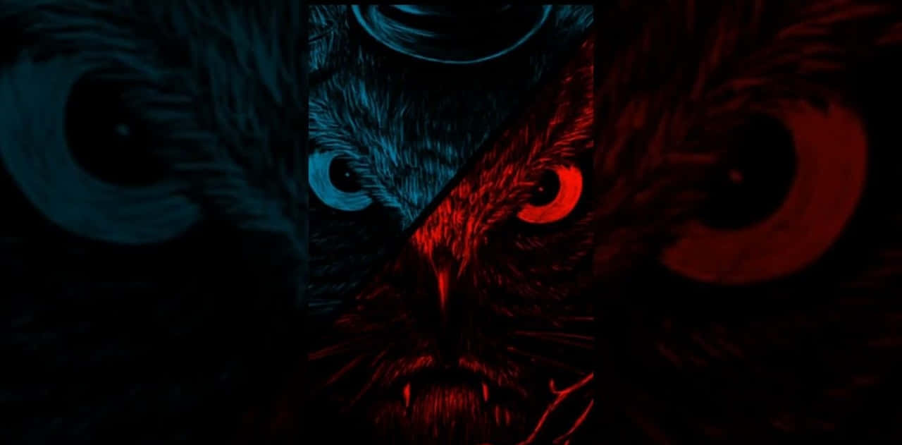 En mørkeblå og rød ugle med et rødt øje Wallpaper