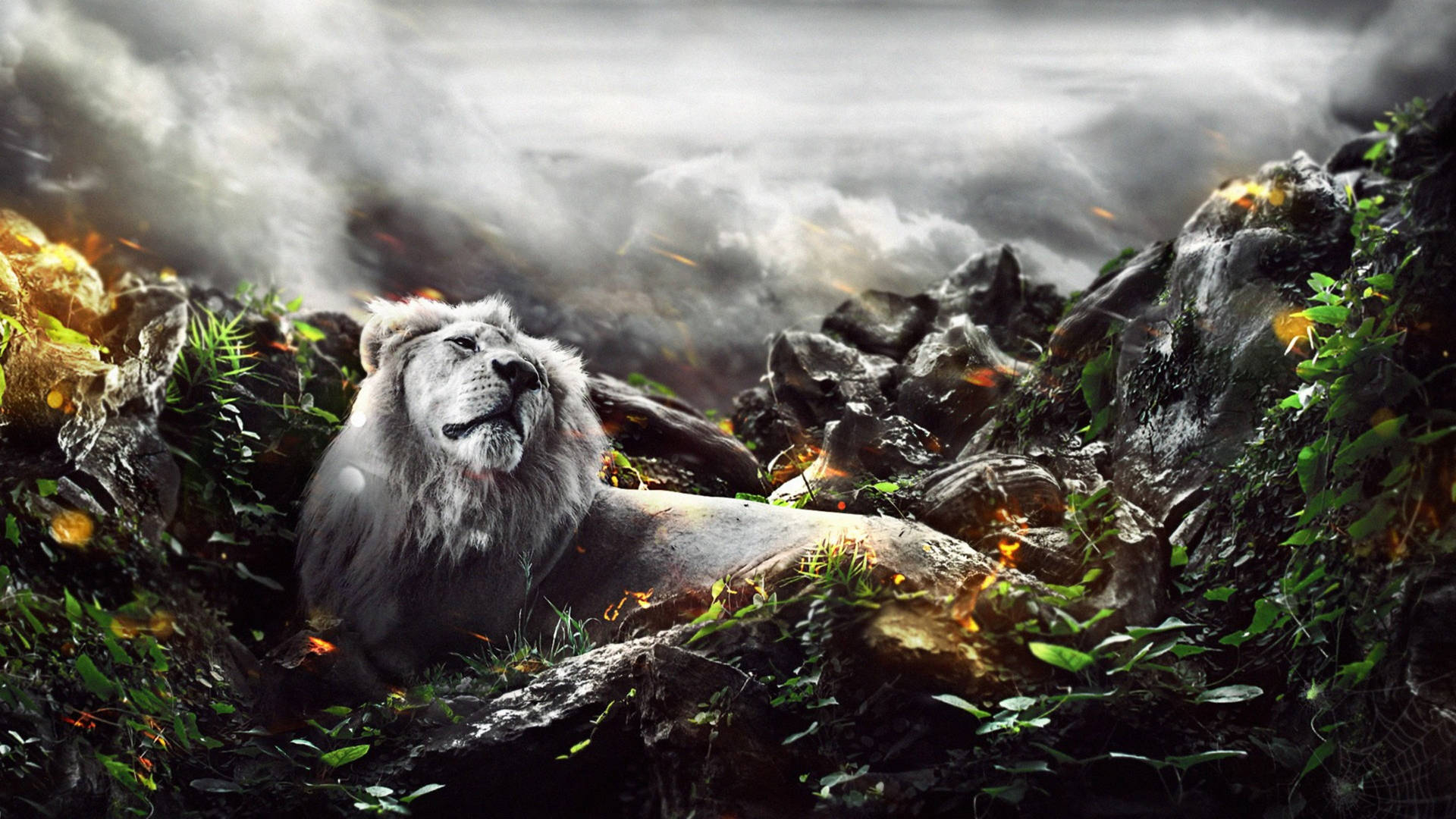 Top 999+ Lion Desktop Wallpaper Full HD, 4K✅Free to Use