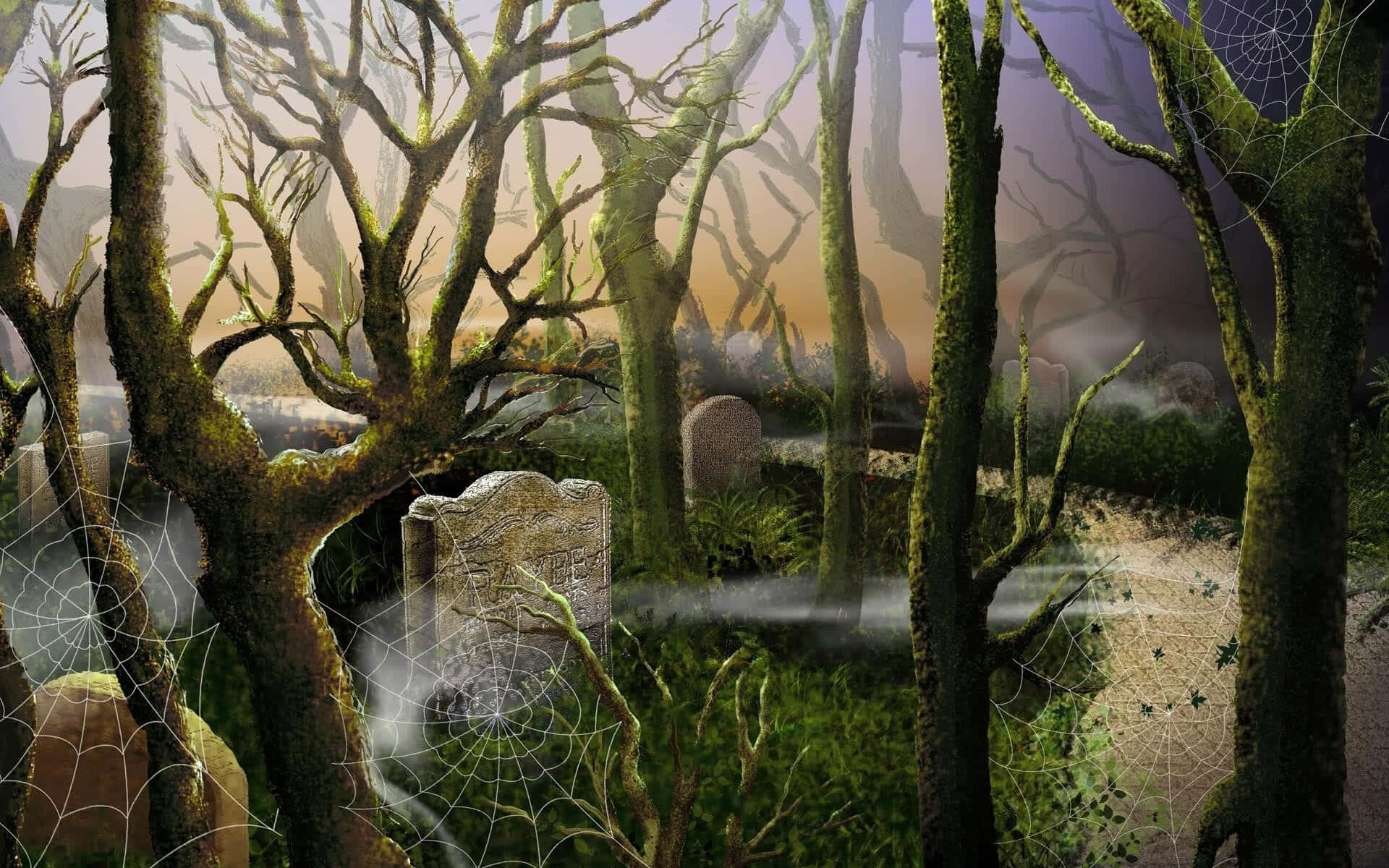 Spider Webs In Among Trees Wallpaper