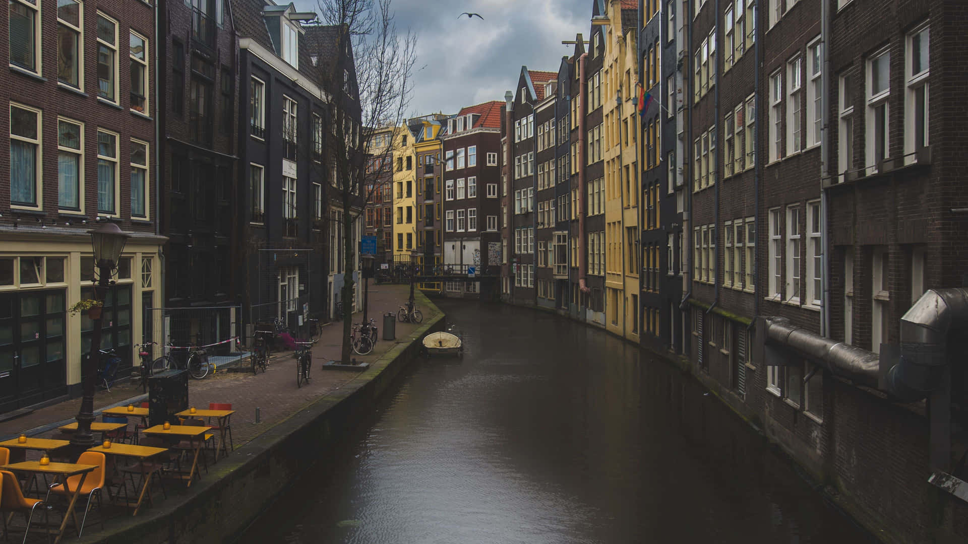 Amsterdam Canal Charm Wallpaper