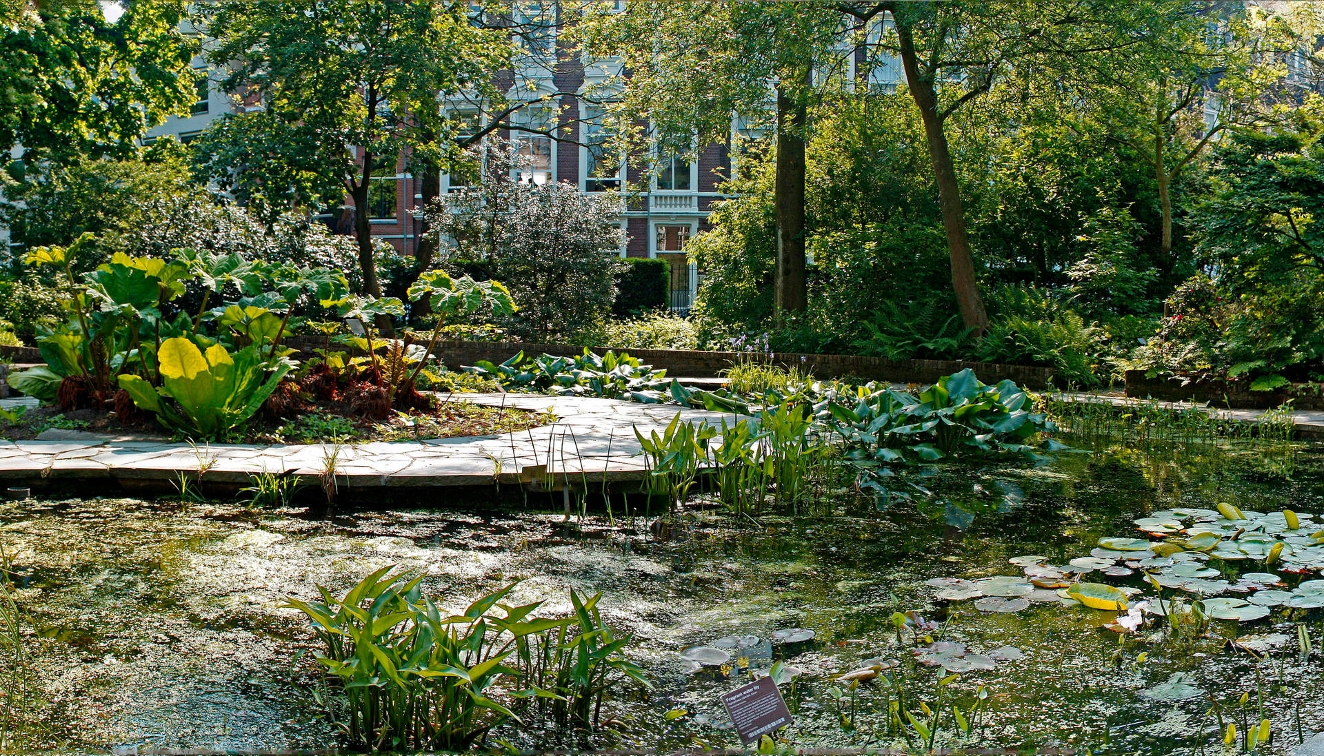 Amsterdam's Hortus Botanicus Background