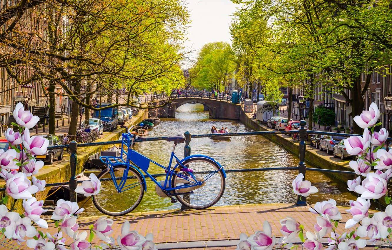 Enjoy the sights and sounds of Amsterdam in the spring. Wallpaper