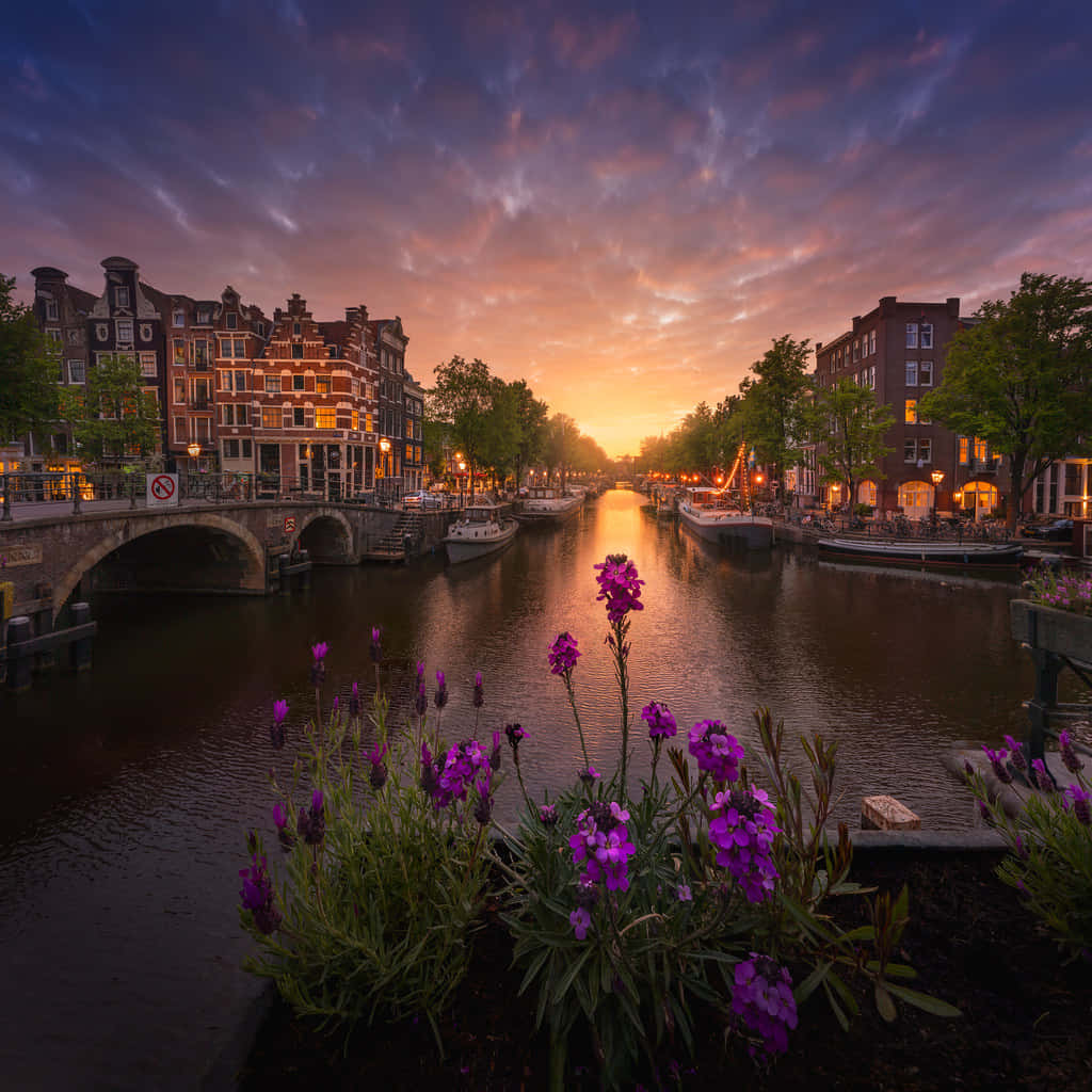 A view of the beautiful canals of Amsterdam in the springtime Wallpaper